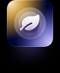 checklist-icon